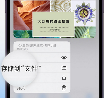 綦江apple维修中心分享iPhone文件应用中存储和找到下载文件