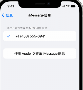 綦江apple维修iPhone上无法正常发送iMessage信息 