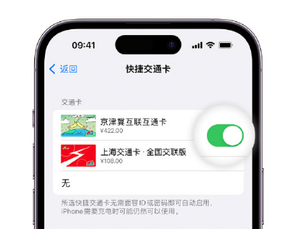 綦江apple维修点分享iPhone上更换Apple Pay快捷交通卡手绘卡面 