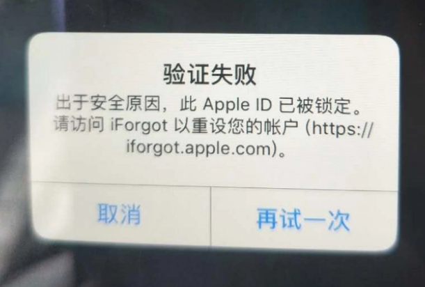 綦江iPhone维修分享iPhone上正常登录或使用AppleID怎么办 