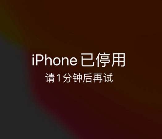 綦江苹果手机维修分享:iPhone 显示“不可用”或“已停用”怎么办？还能保留数据吗？ 