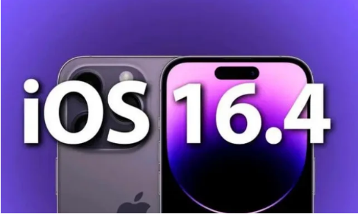 綦江苹果14维修分享：iPhone14可以升级iOS16.4beta2吗？ 