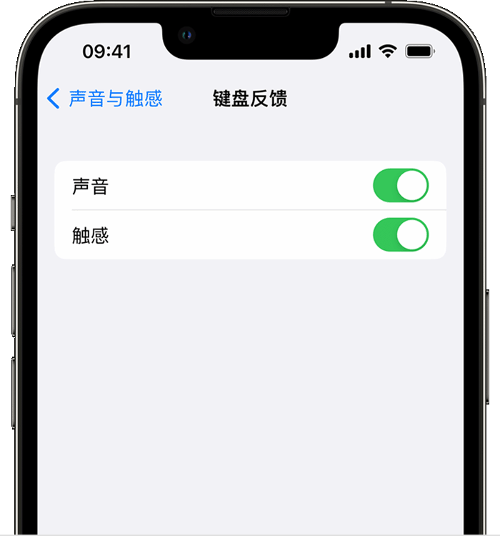 綦江苹果14维修店分享如何在 iPhone 14 机型中使用触感键盘 