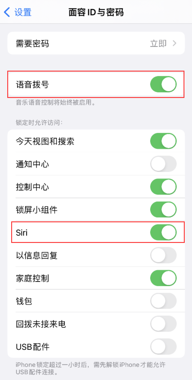 綦江苹果维修网点分享不解锁 iPhone 的情况下通过 Siri 拨打电话的方法 