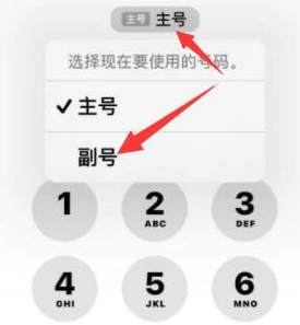 綦江苹果14维修店分享iPhone 14 Pro Max使用副卡打电话的方法 