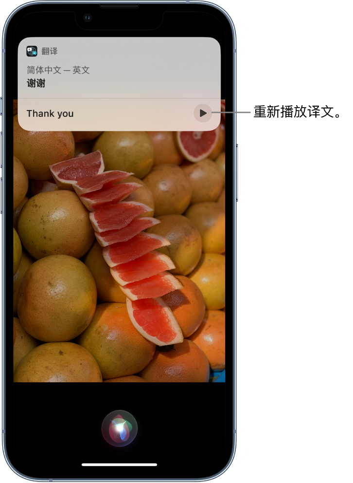 綦江苹果14维修分享 iPhone 14 机型中使用 Siri：了解 Siri 能帮你做什么 