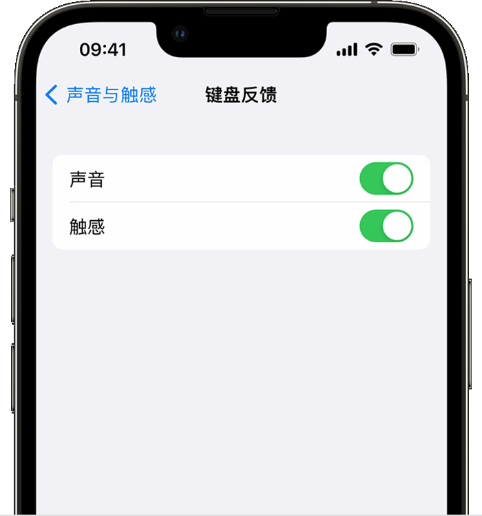 綦江苹果14维修分享iPhone 14 系列机型如何开启键盘声音或触感反馈 