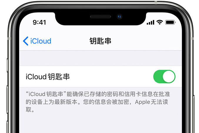 綦江苹果手机维修分享在 iPhone 上开启 iCloud 钥匙串之后会储存哪些信息 