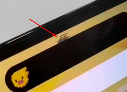 綦江苹果14维修分享iPhone 14 Pro Max灵动岛怎么养宠物 