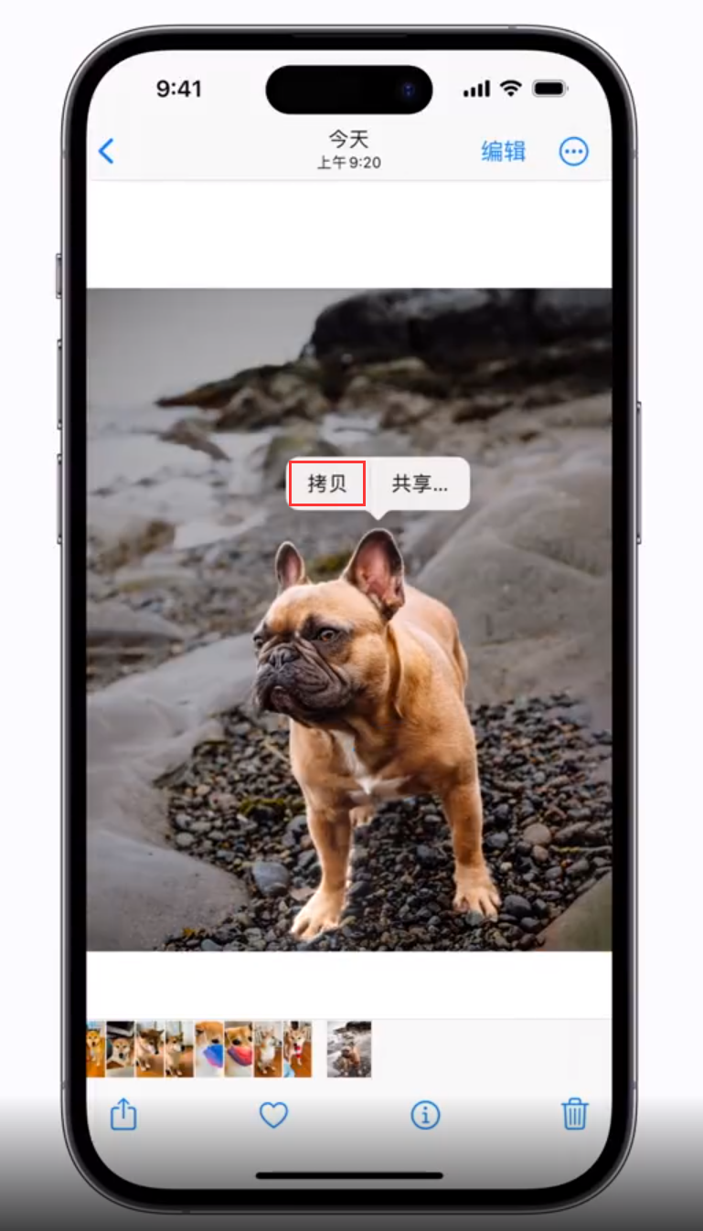 綦江苹果手机维修分享 iOS 16 自带一键抠图功能 