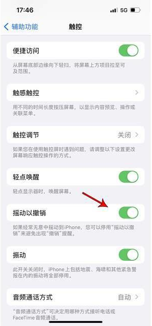 綦江苹果手机维修分享iPhone手机如何设置摇一摇删除文字 