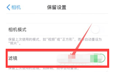 綦江苹果13维修分享iPhone13拍照有绿点是怎么回事 