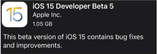 綦江苹果手机维修分享如何升级到iOS15.0 beta5 