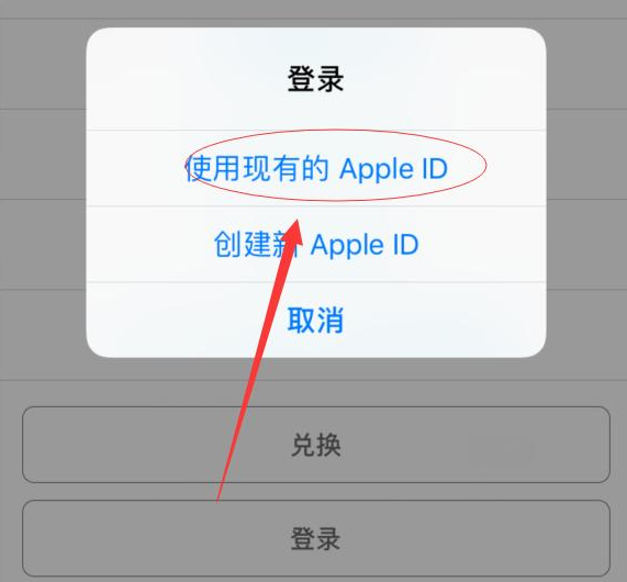 綦江苹果手机维修分享两台iPhone设备可以同时登录一个Apple ID吗 