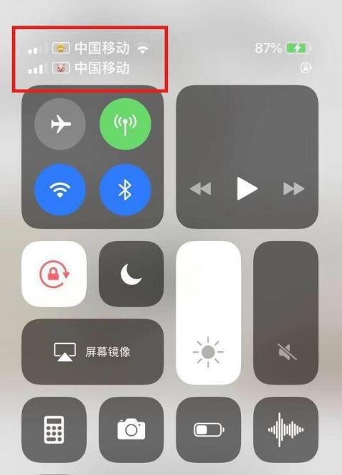 綦江苹果手机维修分享为 iPhone 12 双卡设置标签 
